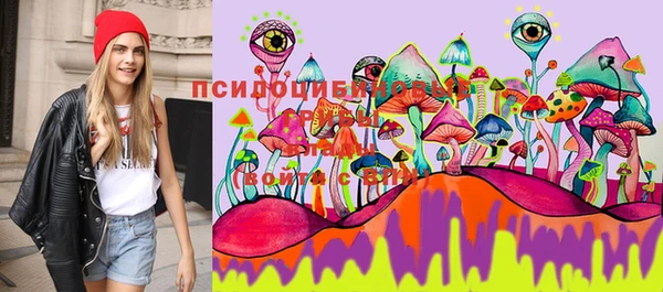 меф Майский