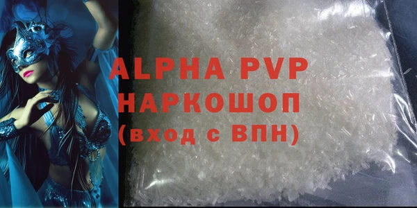 ECSTASY Покачи